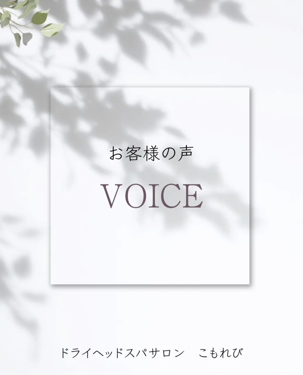 🌿お客様の声🌿